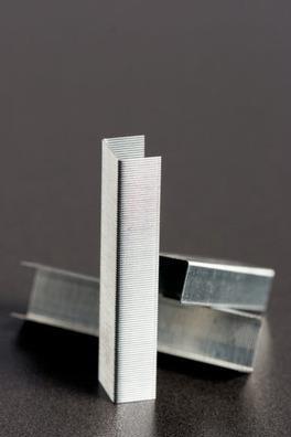 Immagine prodotto Rapid Standard (1000 x)