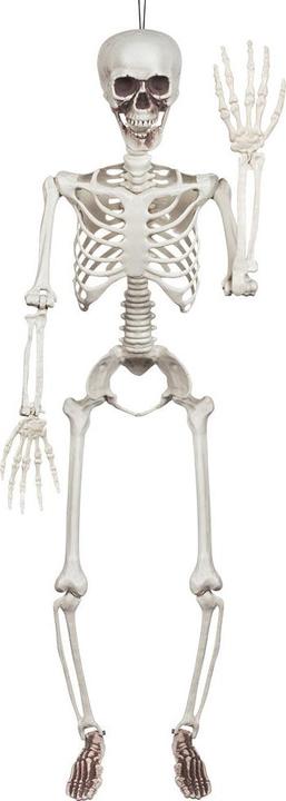 Boland Squelette : Pedro (1 pièce(s))