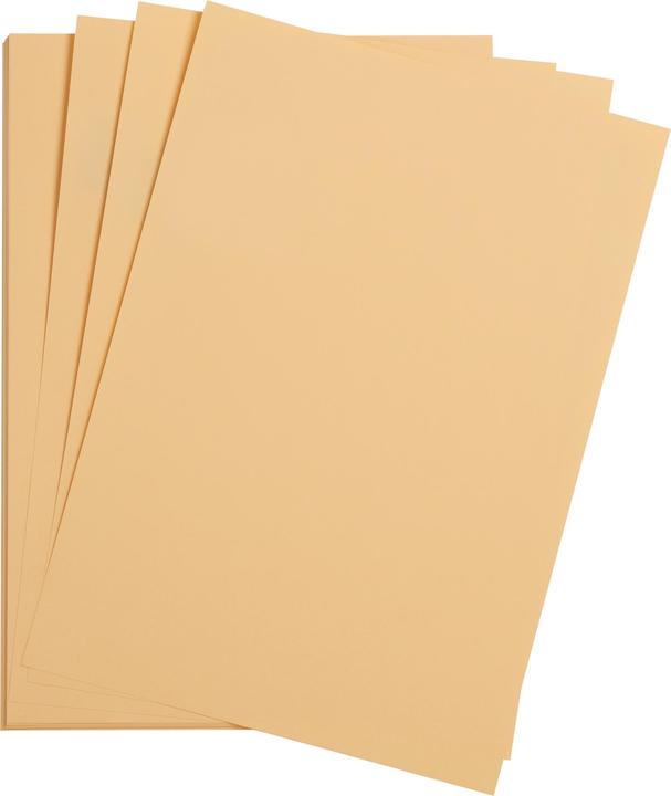Apricot