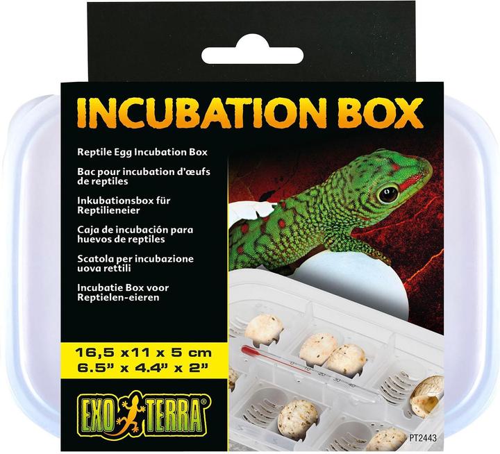 Immagine prodotto Exo Terra Boîte d'incubation