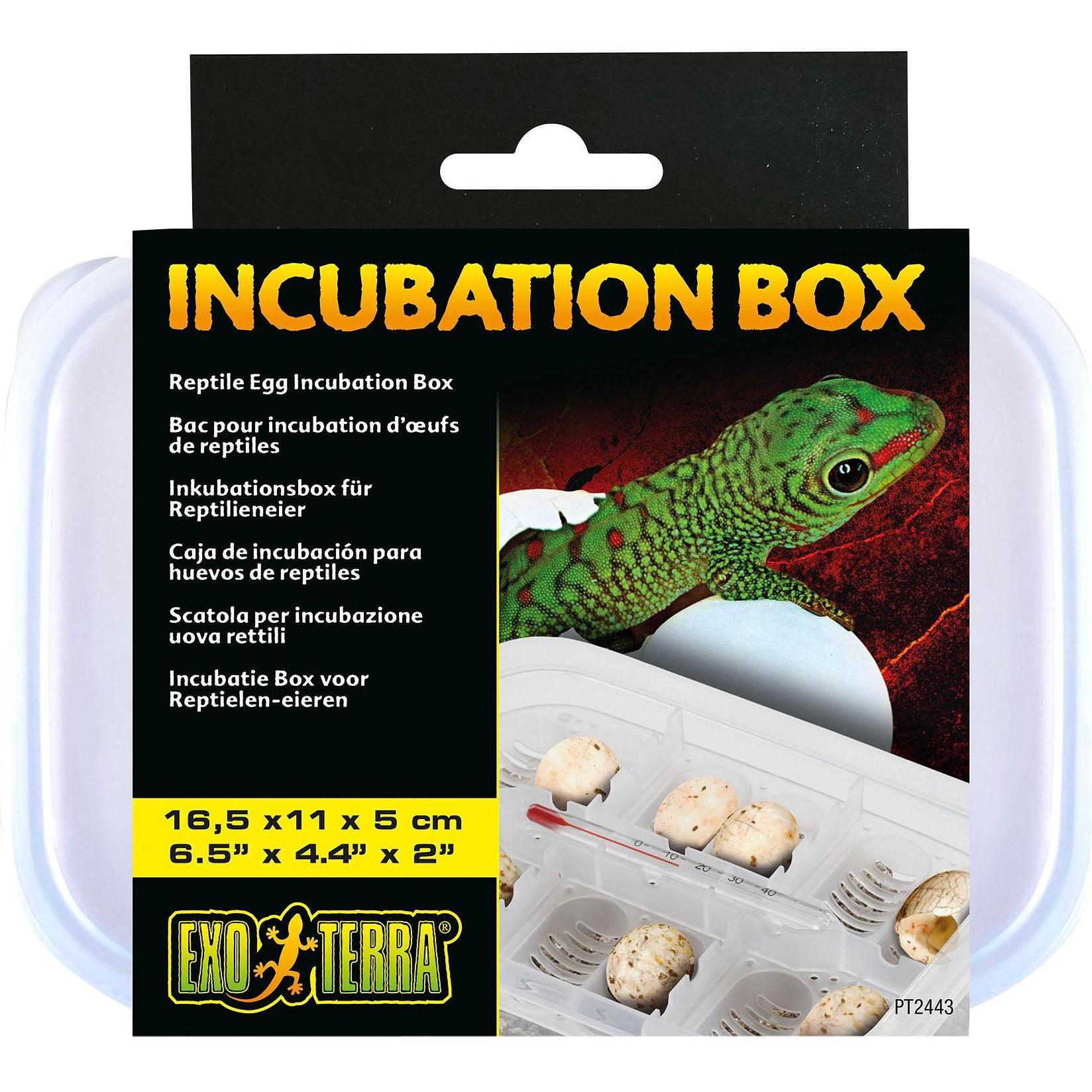 Exo Terra boite incubation