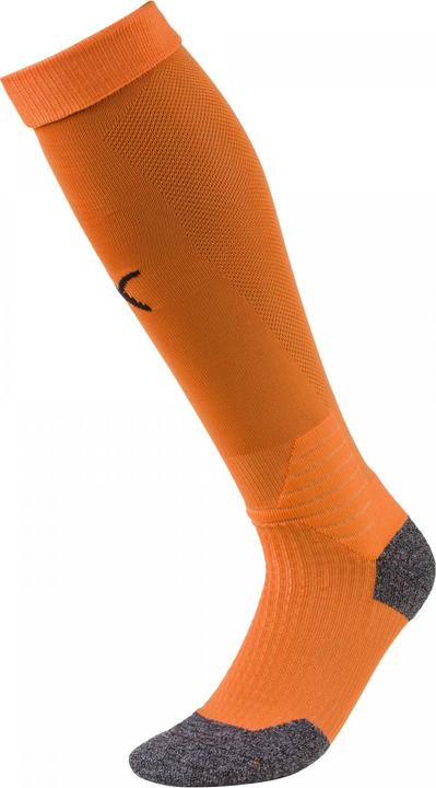 Actual product image Puma Team LIGA Socks-703438 (31 - 34)