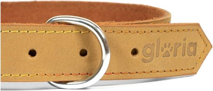 Image du produit Gloria Collier pour chien Oasis 50 cm Jaune (50 x 2,1 cm) (Nubuck)