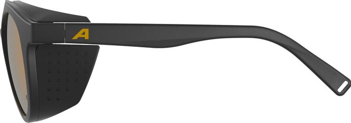 Produktbild Alpina Glace P