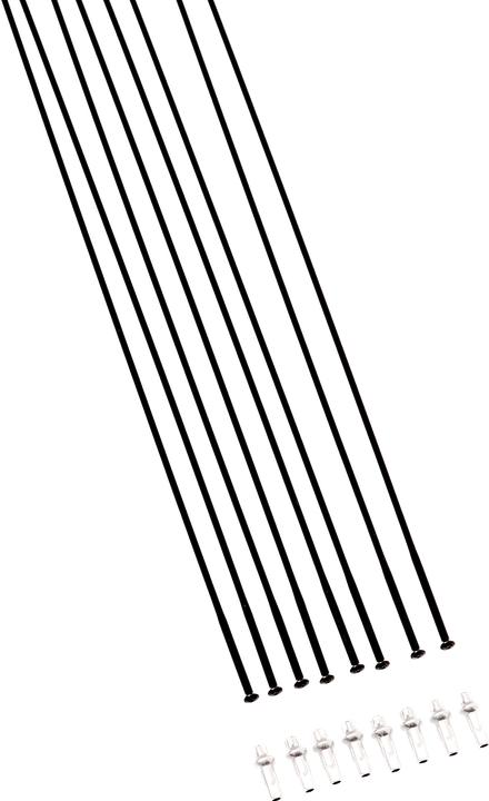 DT Swiss HXC1200 Spline 29