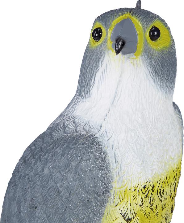 Produktbild Relaxdays Vogelschreck Falke