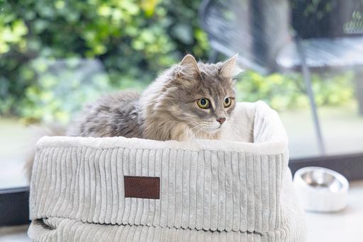 Produktbild Designed by Lotte Katzen Korb Ribbed (Katze)
