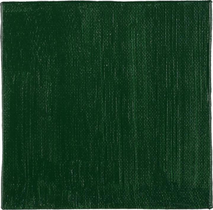 Image du produit Clairefontaine ACRYLIQUE Vert de vessie 250ML (250 ml)