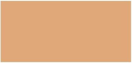 Actual product image Laura Mercier Tinted Moisturiser ( Oil Free Natura l Skin Perfector) 50 ml - Shade: 2C1ush (2C1ush)
