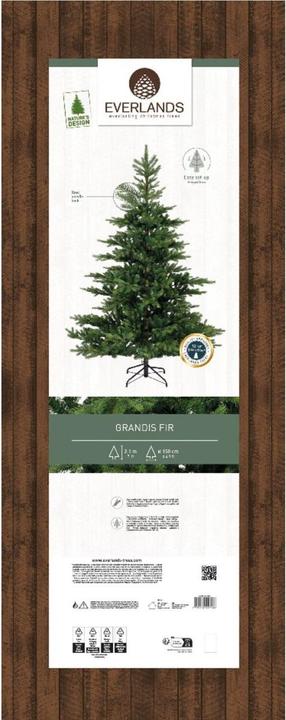 Produktbild Everlands Grandis Tanne 681452 210cm (210 cm)