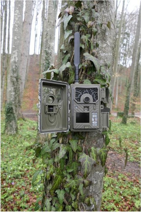 Actual product image Reviermanager Game camera RM4eco