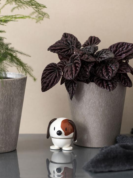 Image du produit Hoptimist Dog (8 x 8 x 10 cm)