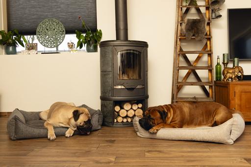 Immagine prodotto Beeztees Zia (Cane)