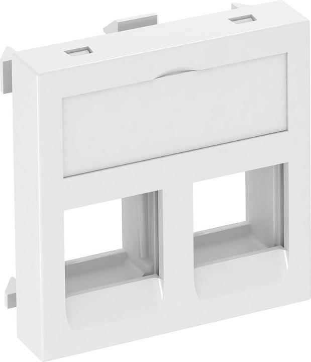 Actual product image OBO Bettermann Data technology support for 2 connection modules 6119280