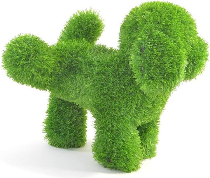 Productafbeelding Kögler AniPlants, gras figuur, " hond "