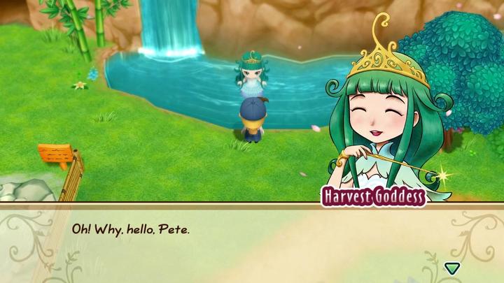 Actual product image Marvelous Story of Seasons: Friends of Mineral Town (Switch, DE)