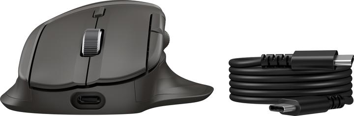 Produktbild HP Ultra-Fast Scroll Wireless Mouse 785M (Kabellos)