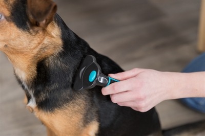 Produktbild Trixie Carding-Striegel (Hund)
