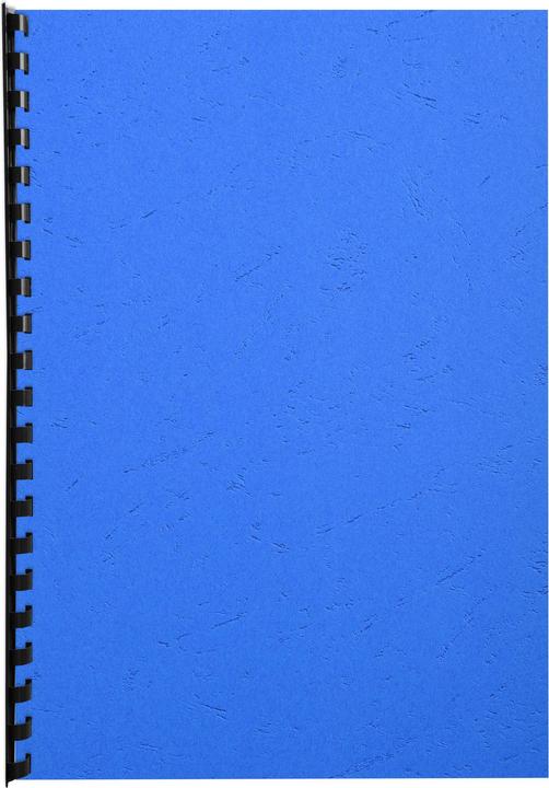 Actual product image Exacompta FOREVER cover, DIN A4, blue