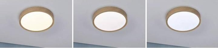 Produktbild Paulmann LED-Deckenleuchte (2400 lm)