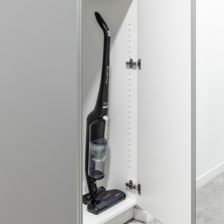 Actual product image Rowenta Air Force Light RH6545WH