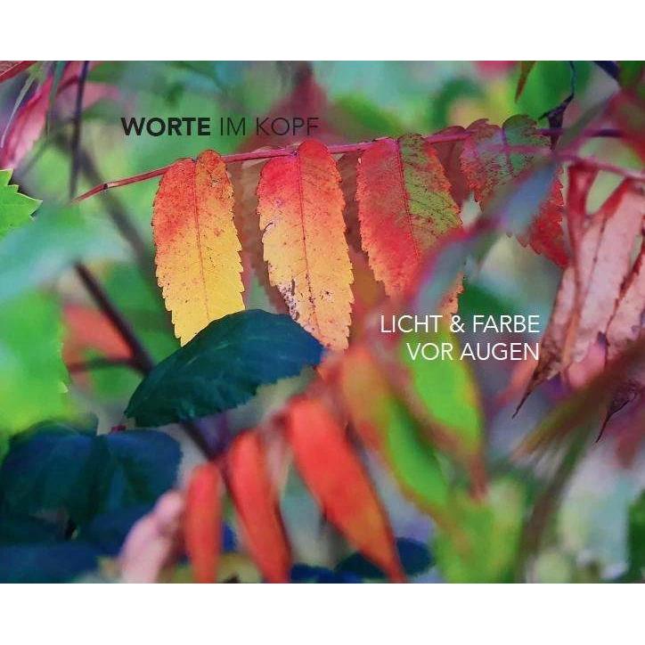 Worte im Kopf - Licht & Farbe vor Augen, Ratgeber von Hanns Christian Roth, Reinhard Eser, Lea Andersson, KEB in der Sta...
