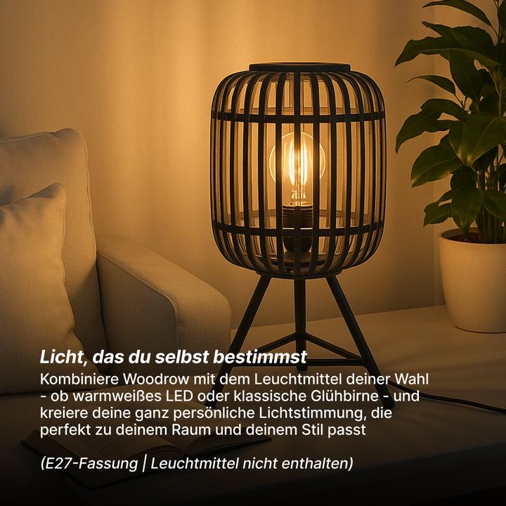 Immagine prodotto Brilliant Woodrow E27 TL Lampada da tavolo (E27)