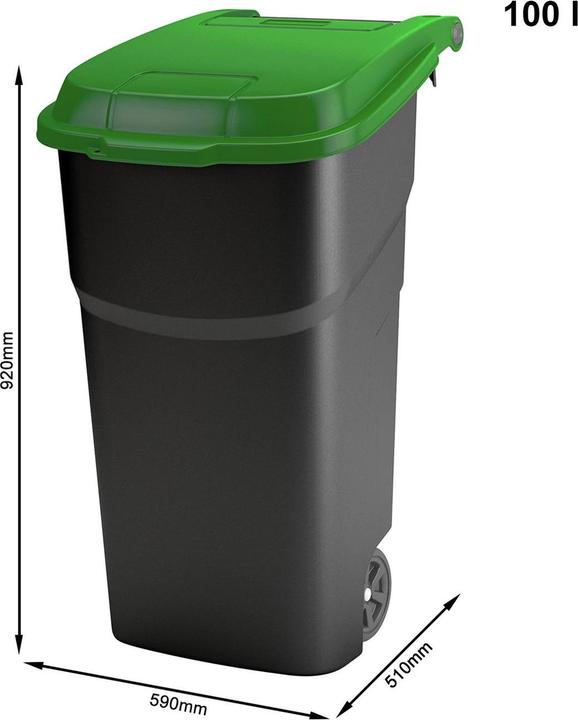 Actual product image Rotho Atlas (100 l)