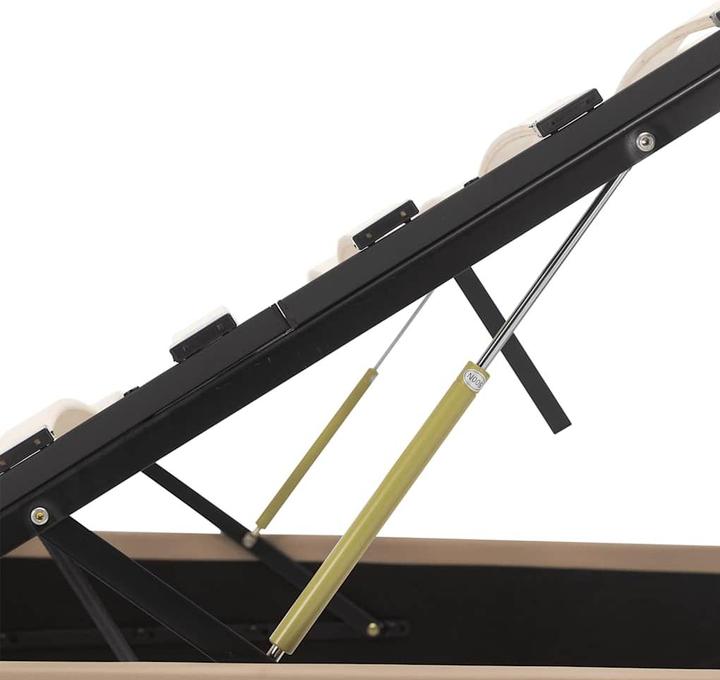 Immagine prodotto vidaXL Bine (120 x 200 cm)