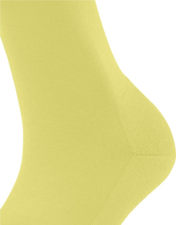 Actual product image Falke ClimaWool Damen (39 - 40)