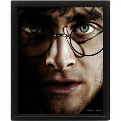 Produktbild Pyramid Harry Potter Cadre 3d Lenticulaire Harry Voldemort Faces (20 x 25 cm)