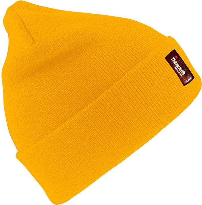 Produktbild Regatta Thermo Thinsulate Mütze leicht (One Size)