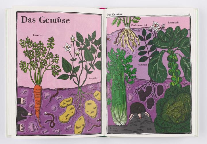 Produktbild Kaktus, Klee und Kopfsalat (Deutsch, 2018)