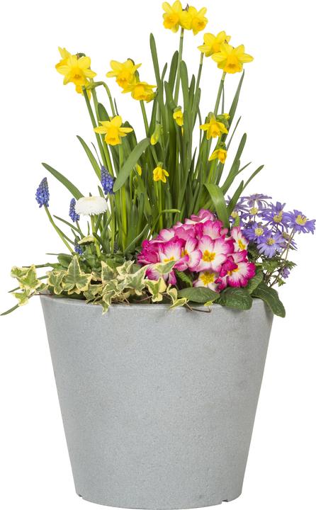 Produktbild Scheurich C-Cone (28.50 x 24.30 cm)