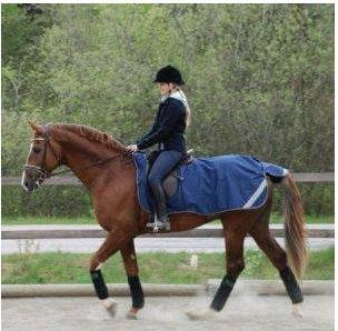 Produktbild Bucas Nierendecke (135 cm)