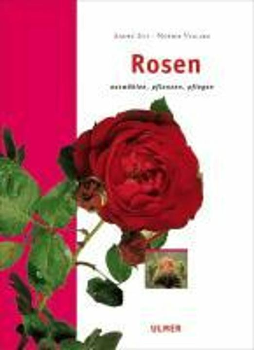 Actual product image Rosen (German, André Eve, Noémie Vialard, 2004)