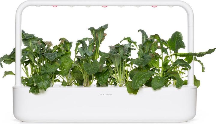 Immagine prodotto Click and Grow Click & Grow Smart Refill Italienischer Kohl 3 Stk (Semi di verdura)