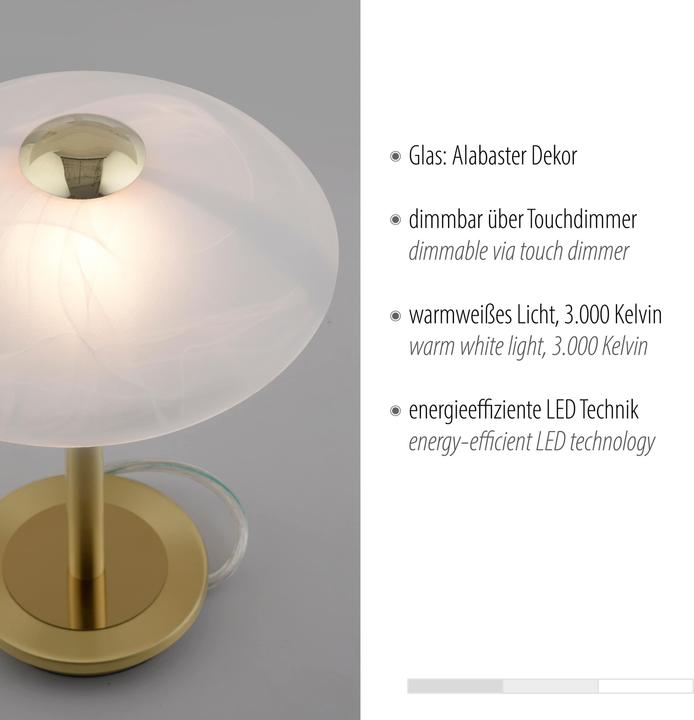 Image du produit Paul Neuhaus Enova (265 lm, G9)