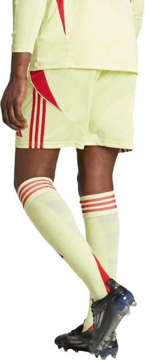 Produktbild adidas TIRO24 SHO (S)