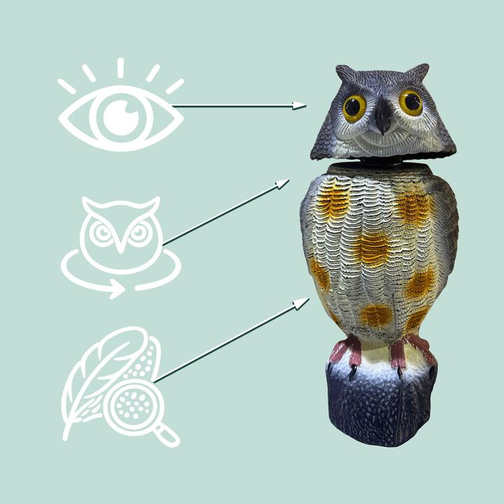 Actual product image Relaxdays Bird repeller owl
