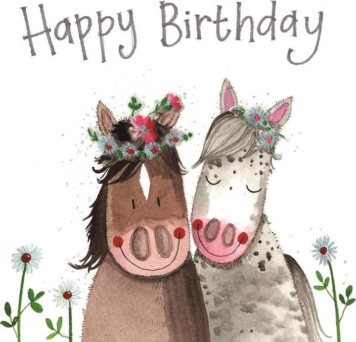 Produktbild Teka Geburtstagskarte S381 Lächelnde Pferde