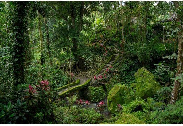 Produktbild Tamron 25-200mm F/2.8-5.6 Di III VXD G2 Sony (Sony E, APS-C / DX, Vollformat)