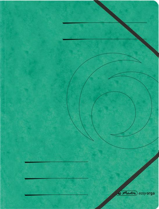 Falken Sammelmappe Karton (A4, 1 x)