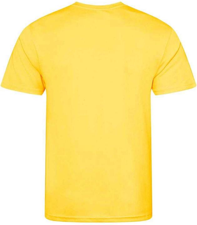 Actual product image Awdis Mens T-Shirt (XXL)