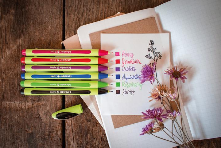 Actual product image Schneider Xpress (Green, Black, 1 x)