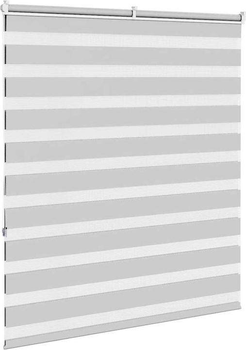 Actual product image vidaXL Zebra-Jalousie (120 x 150 cm)