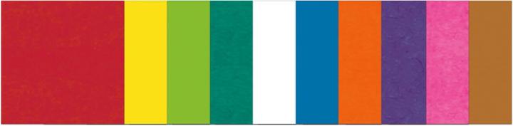 10 couleurs assorties