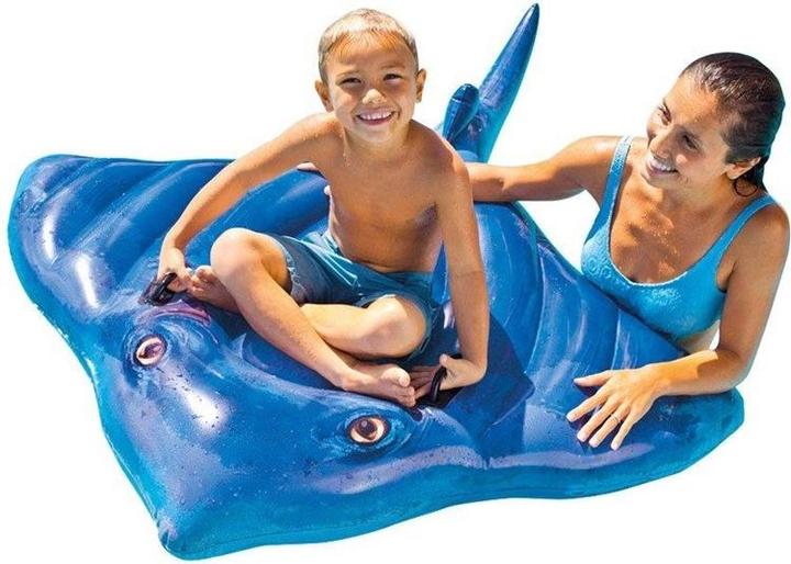 Actual product image Intex Stingray