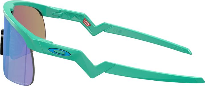 Actual product image Oakley Resistor (Mat Celeste, Prizm Sapphire)