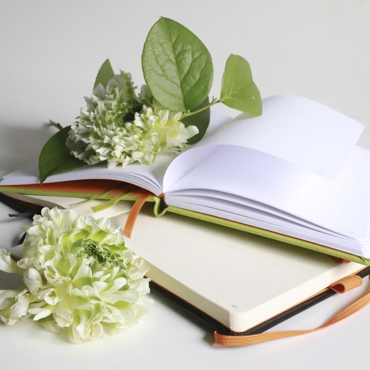Image du produit Rhodia Rhodiarama Goalbook (A5, Quadrillé, Couverture rigide)